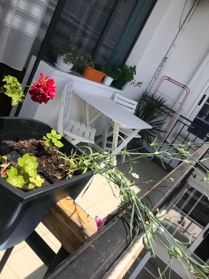 Kruja Hostel المظهر الخارجي الصورة